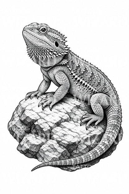 Diseño de tatuaje de dragón barbudo sobre roca