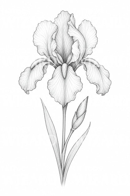 Baardiris fine line tattoo-ontwerp