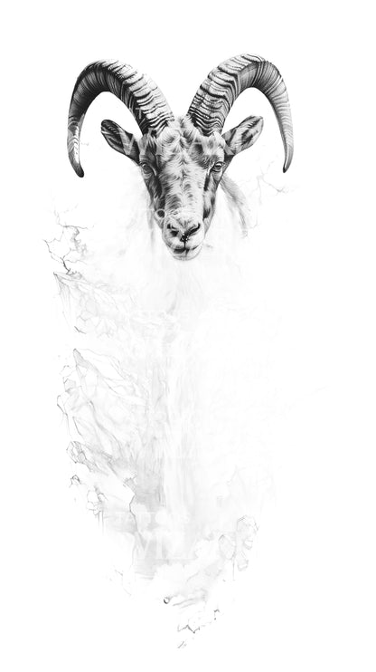 Beautiful Ibex Composition Tattoo Design