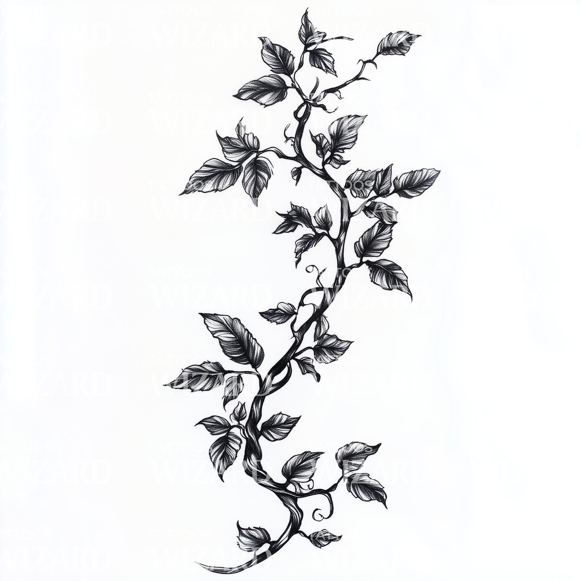 hanging plant tattoo Beautiful Vine with Leaves Tattoo Design – Tattoos Wizard Designs