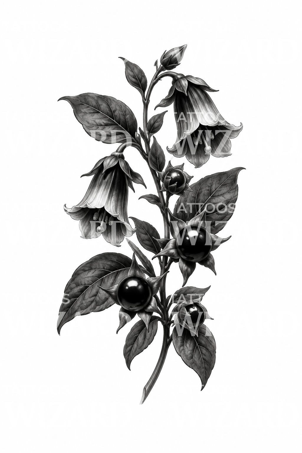Belladonna Nightshade Berries Tattoo Design
