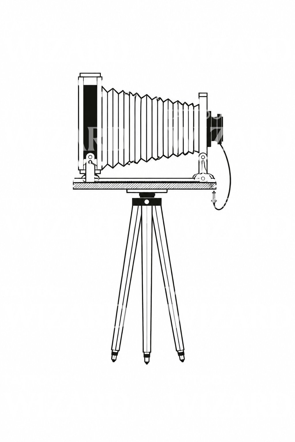 Bellows Plate Camera Tattoo Design