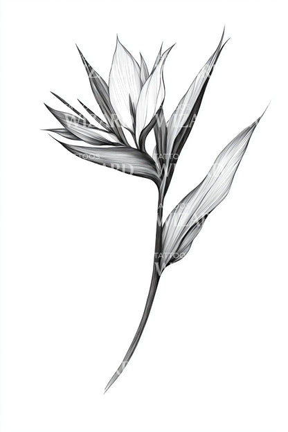 Bird of Paradise Stem Tattoo Design
