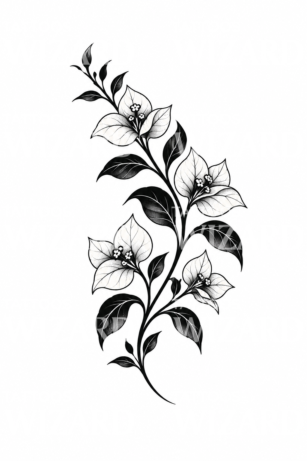 Blackwork Begonvil Dalı Dövme Tasarımı