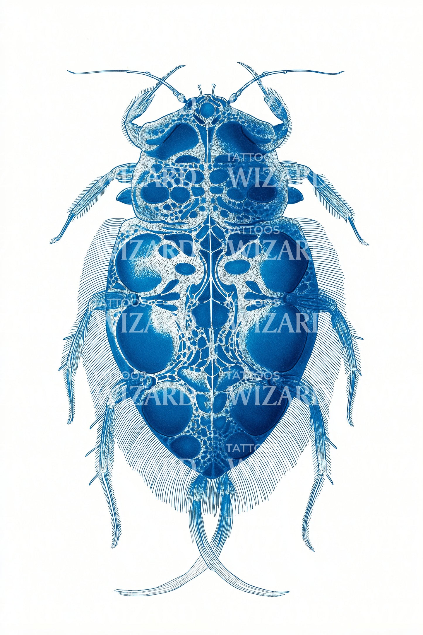 Blue Scarab Beetle Tattoo Design