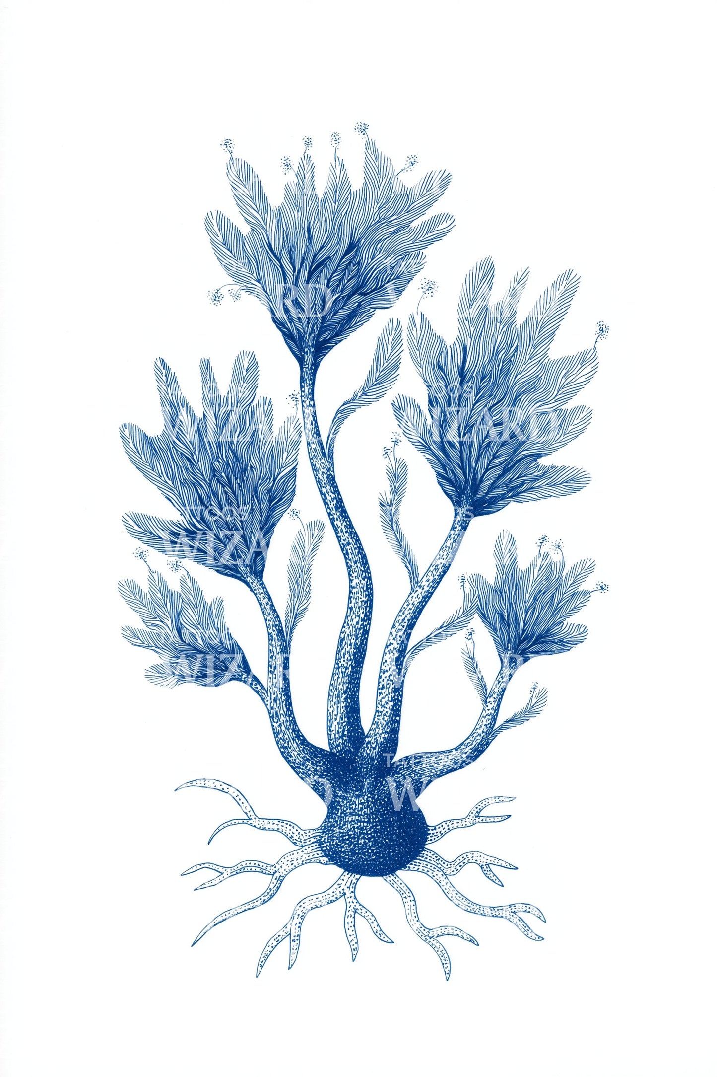 Blue Sea Coral Tattoo Idea