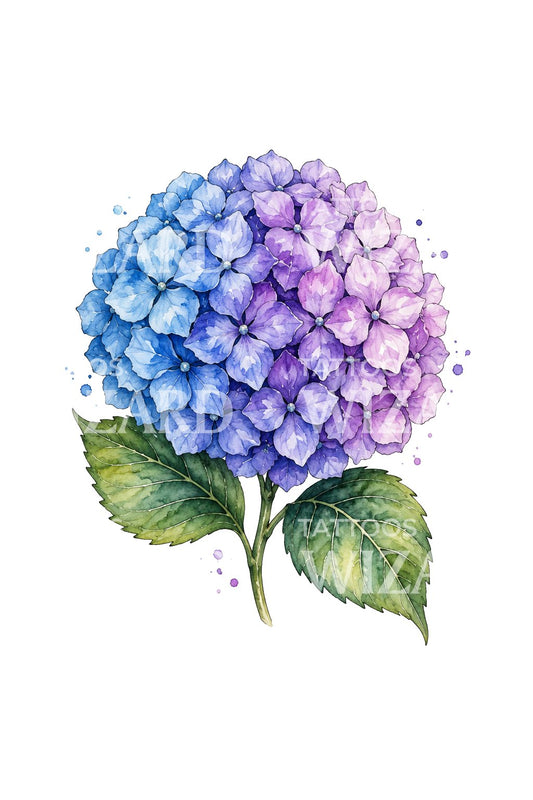 Sinivioletin hortensian akvarellitatuointi-idea