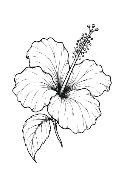 Stoere hibiscus-omtrekschets als tattoo-illustratie