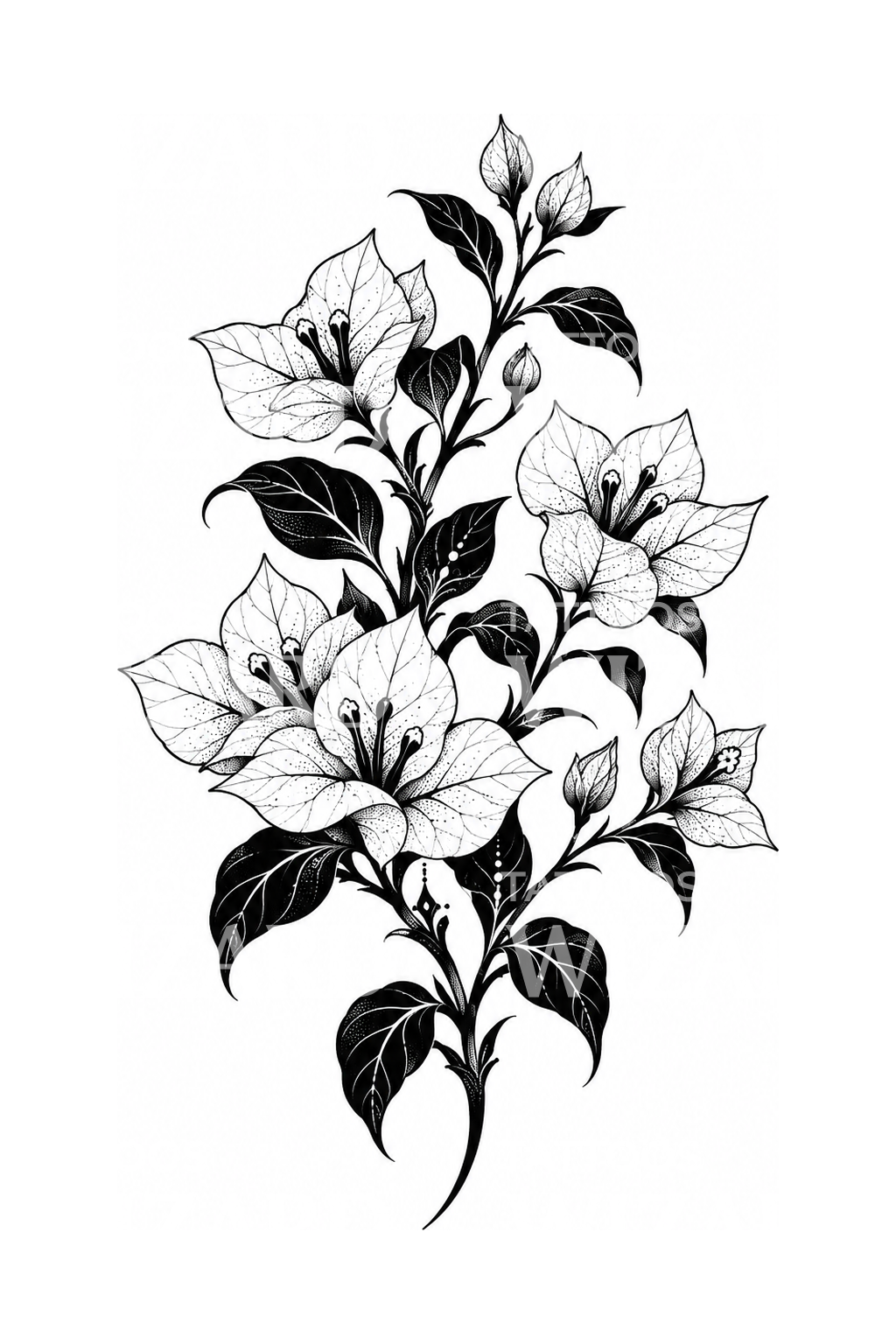 Blackwork-tatoveringsidé med bougainvillea-gren