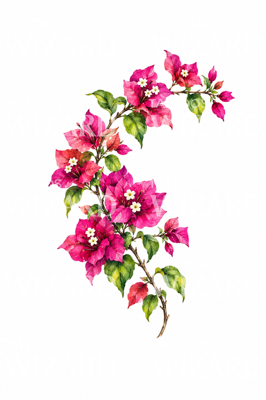 Bougainvillea Magenta Branch Tattoo Design
