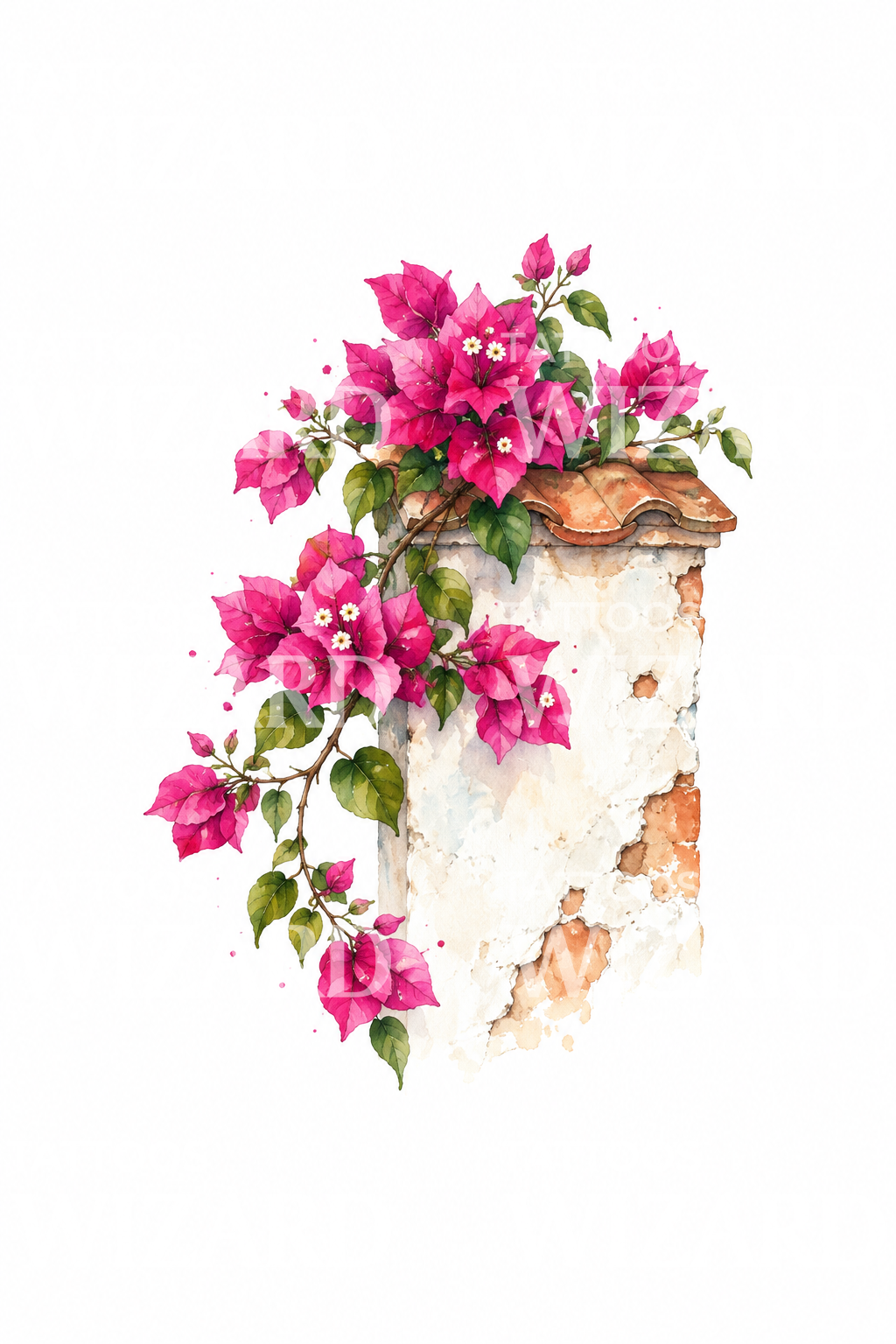 Tato Cat Air Bougainvillea Menjuntai di Atas Dinding Putih