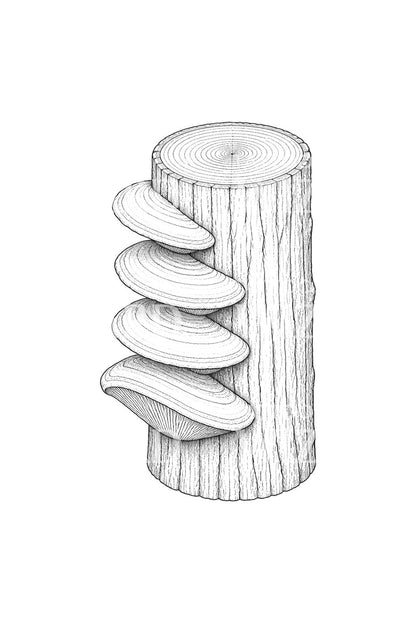 Tattoo-ontwerp van een zwam op een boomstronk