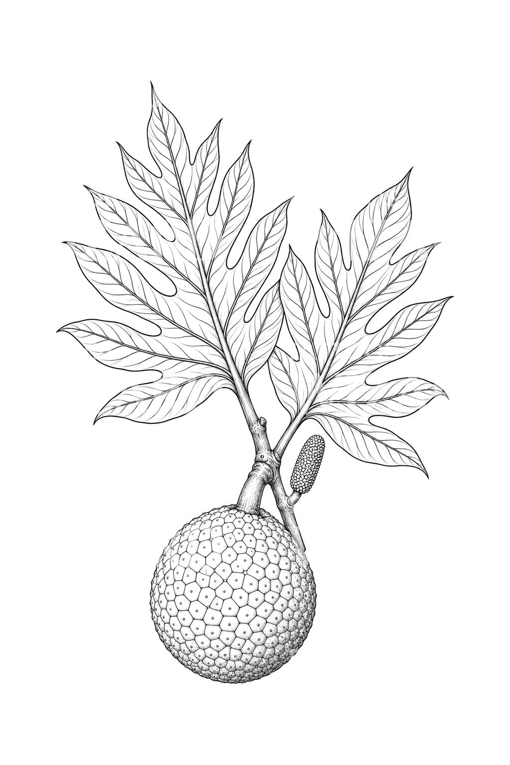 Tattoo-Design mit Brotfrucht und gelappten Blättern