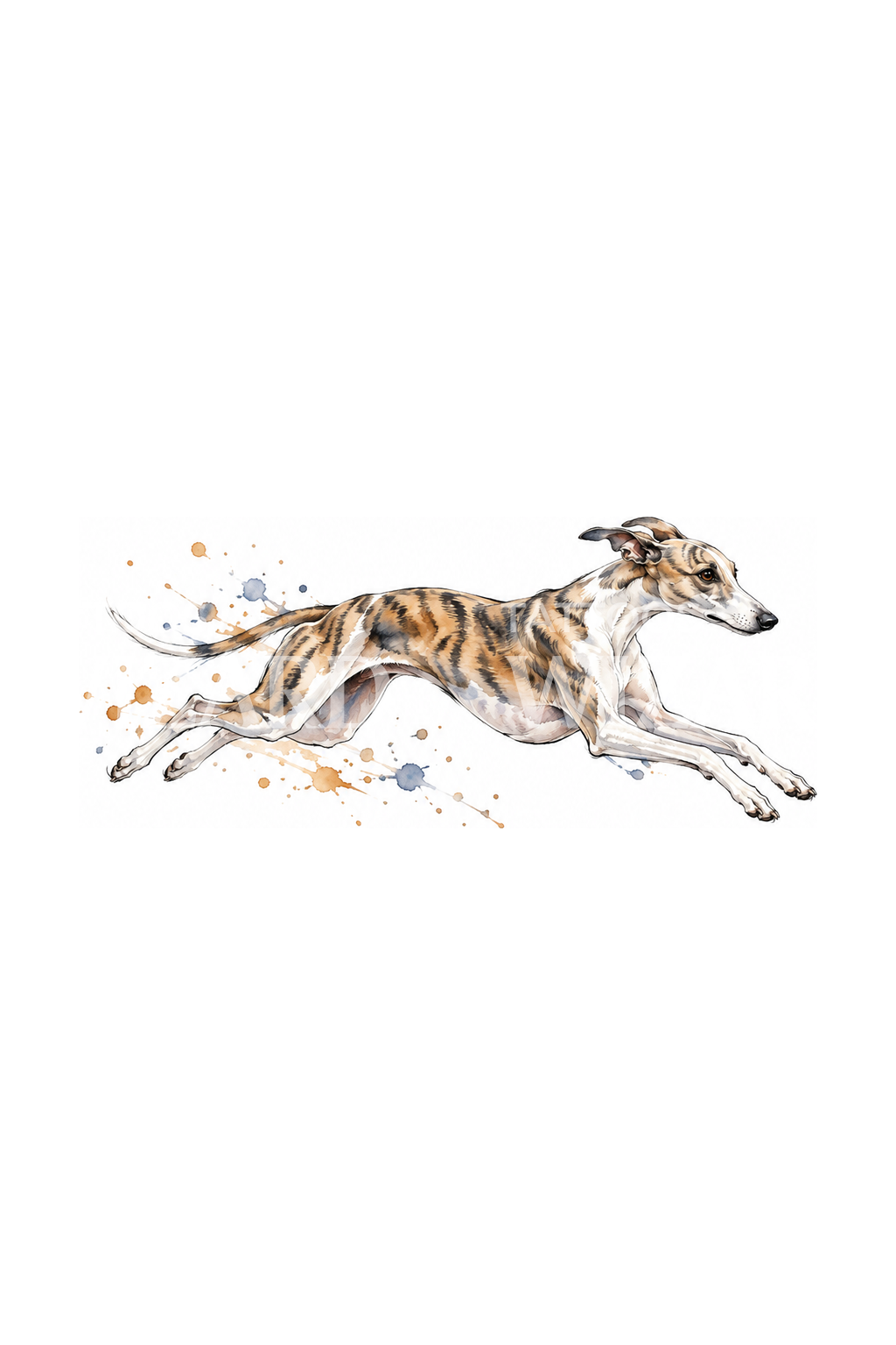 Brindle Whippet Mid Sprint Watercolor Tattoo Design