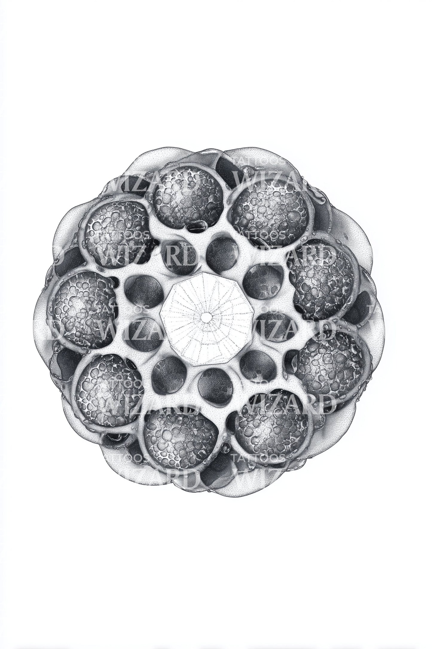 Bubble Colony Rosette Tattoo Design