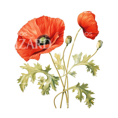 Botanical Poppy Flower Tattoo Design