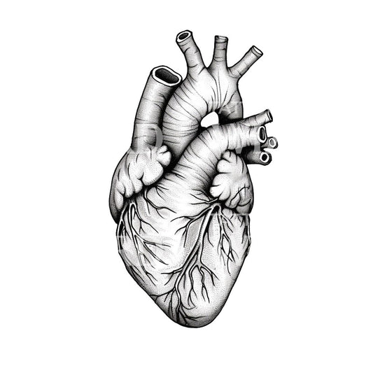 Anatomical Heart Black & Grey Tattoo Design