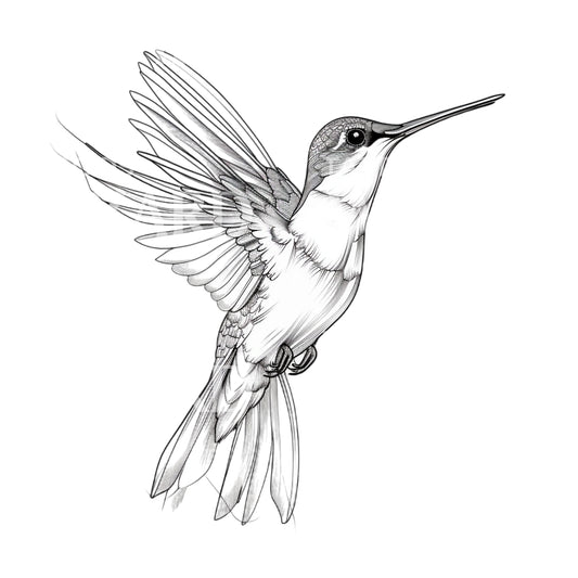 Conception de tatouage de colibri aux lignes fines