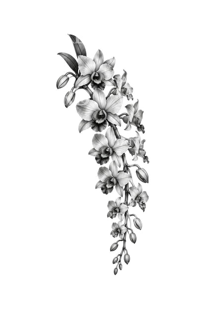 Cascading Dendrobium Orchid Black and Grey Tattoo Design