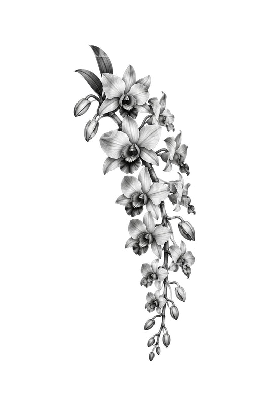 Cascading Dendrobium Orchid Black and Grey Tattoo Design