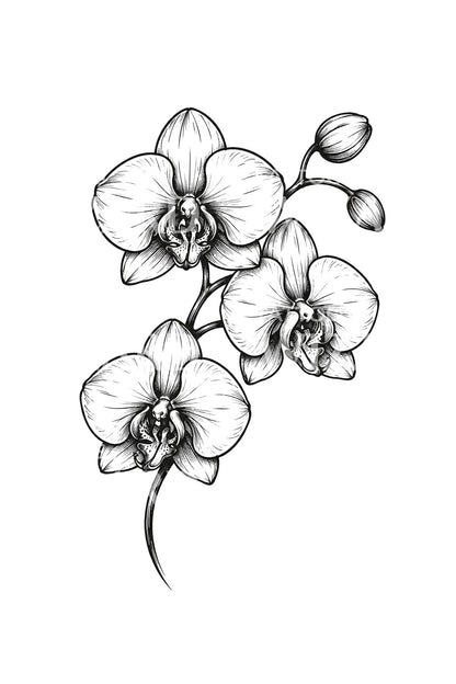 流れ落ちる蘭を描いたペン画タトゥーイラスト