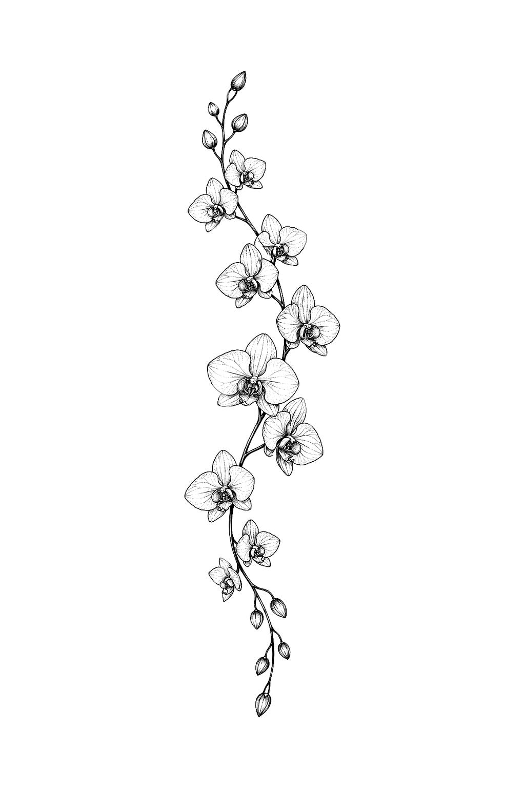 Kaskádovitá orchidej na páteř ve fine line