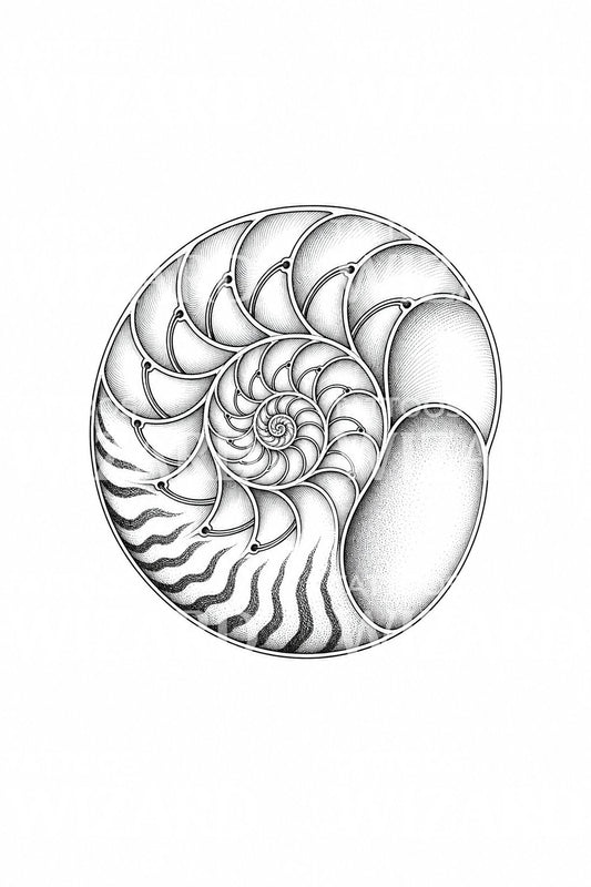 Tatoveringsdesign med kammernautilus anatomi