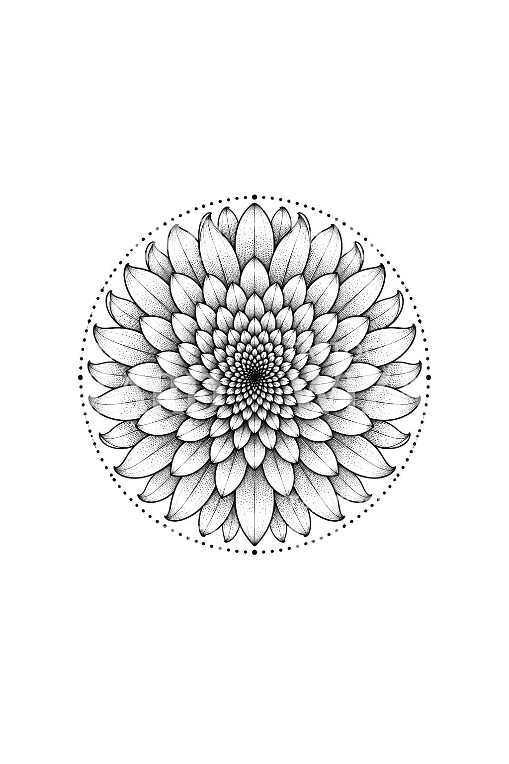 Krizantem Mandala Dotwork Dövme Tasarımı