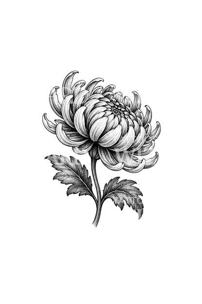Crisantemo de perfil con cáliz punteado, diseño de tatuaje