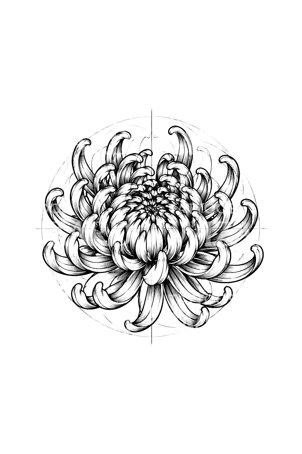 带结构线的菊花素描纹身设计