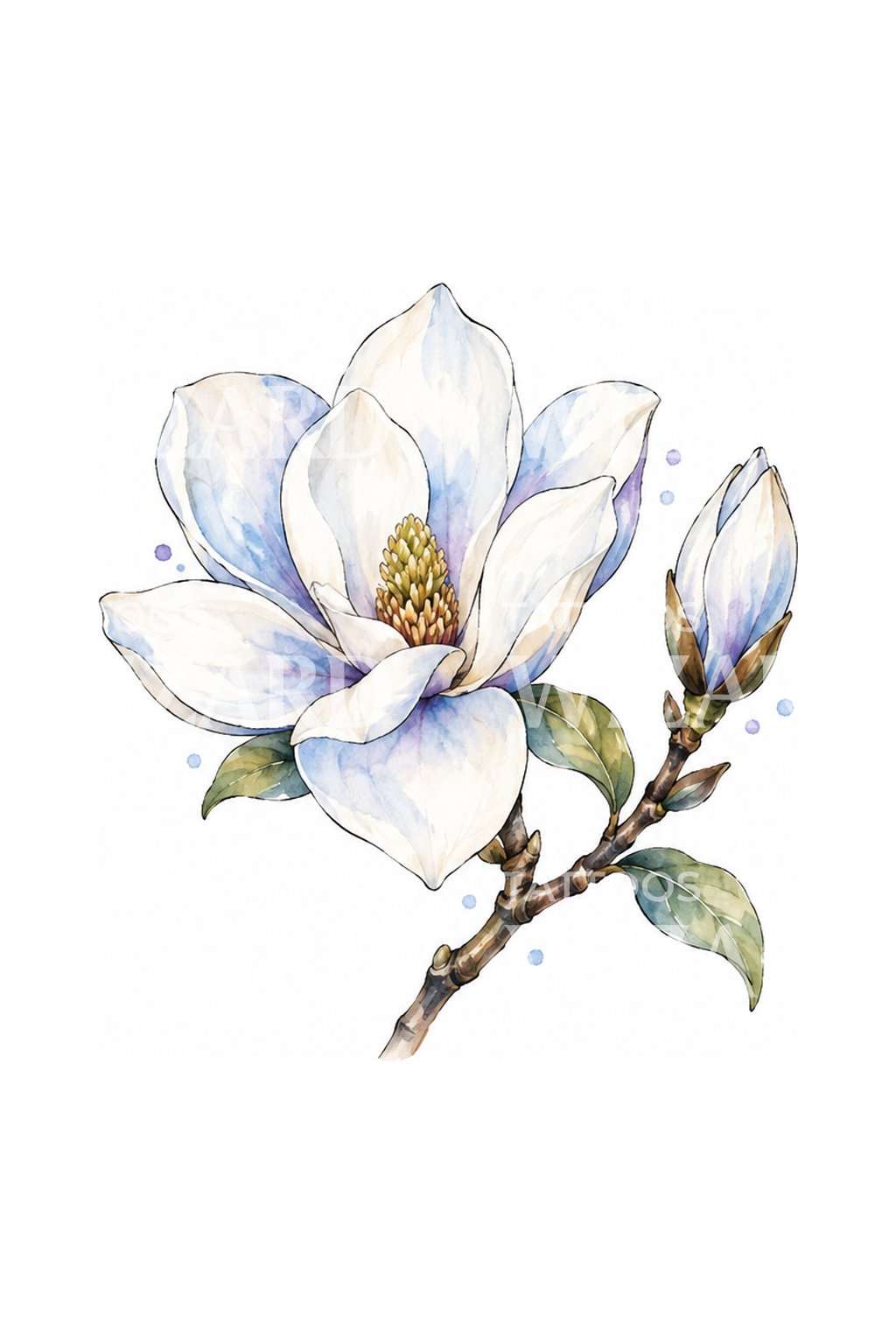 Aquarelillustratie van een witte magnolia-tatoeage in een heldere ochtend