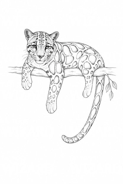 Diseño de tatuaje de leopardo nublado en una rama