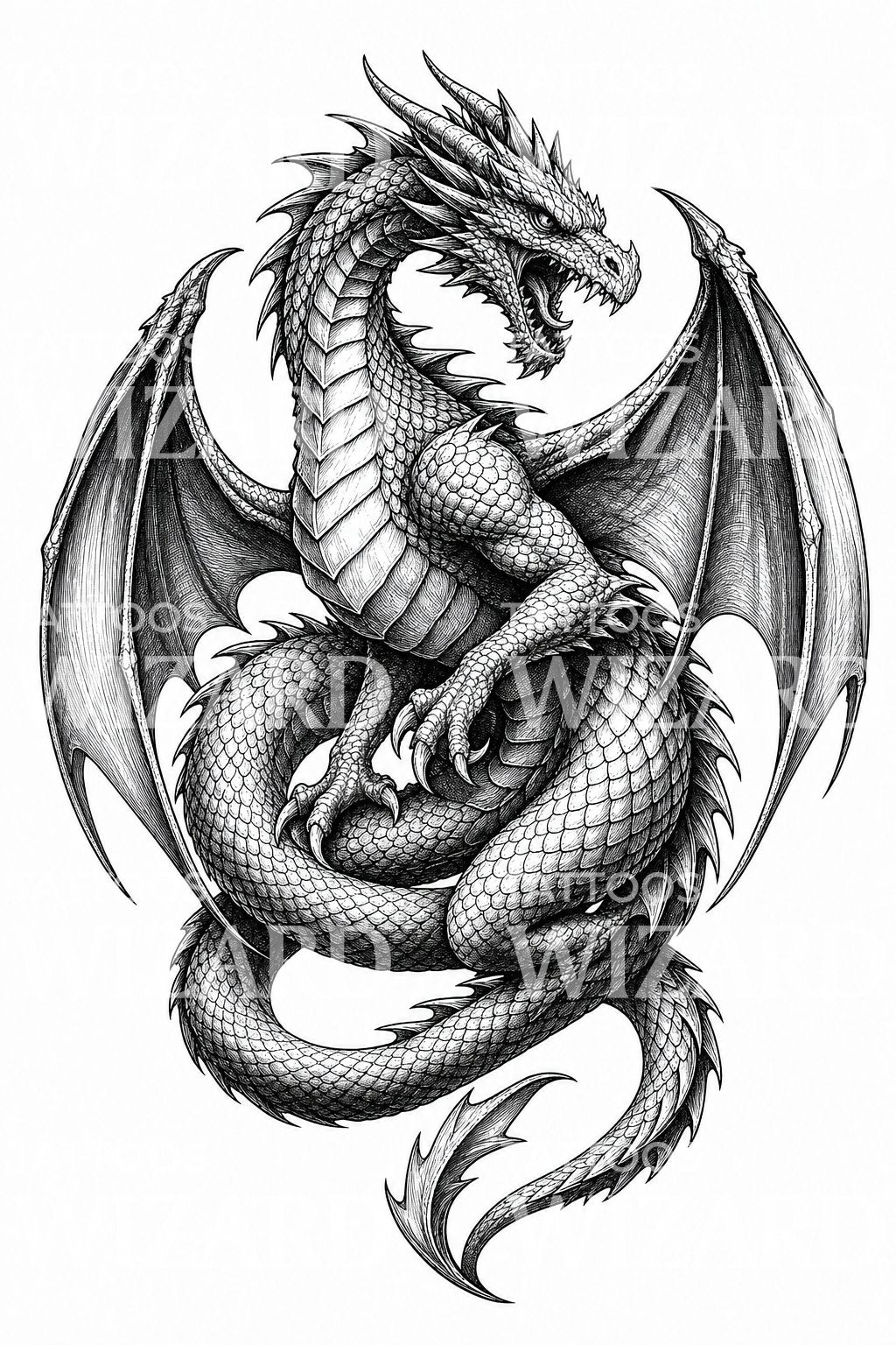 Coiled European Dragon Tattoo Design
