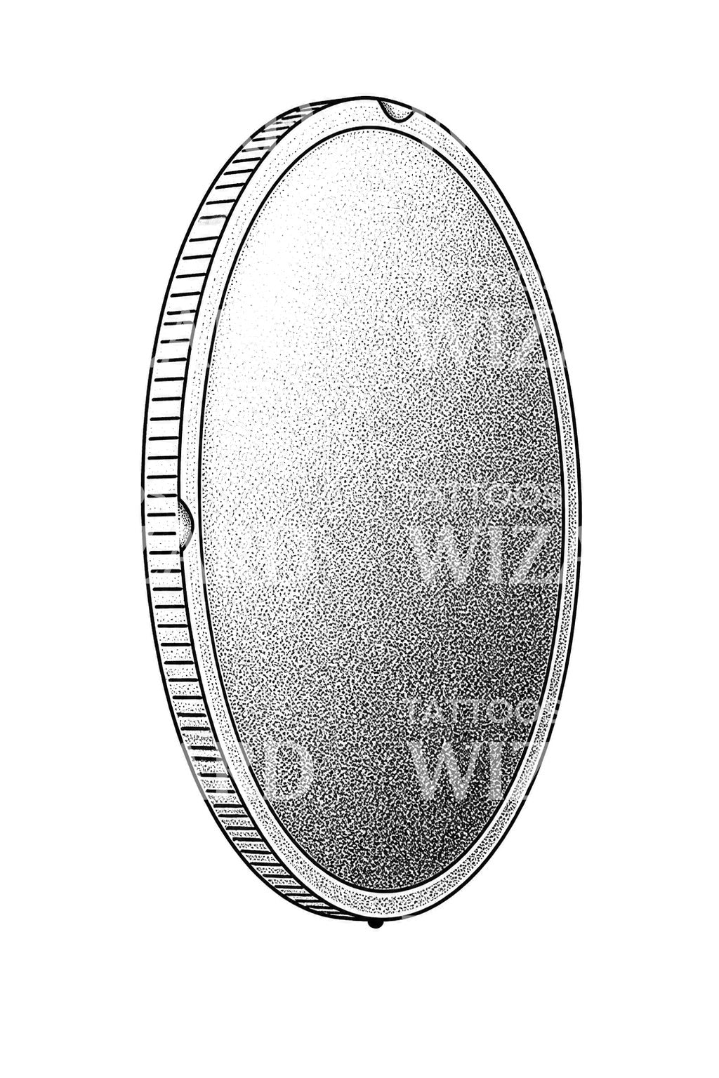 Coin Balanced on Its Edge Tattoo Design