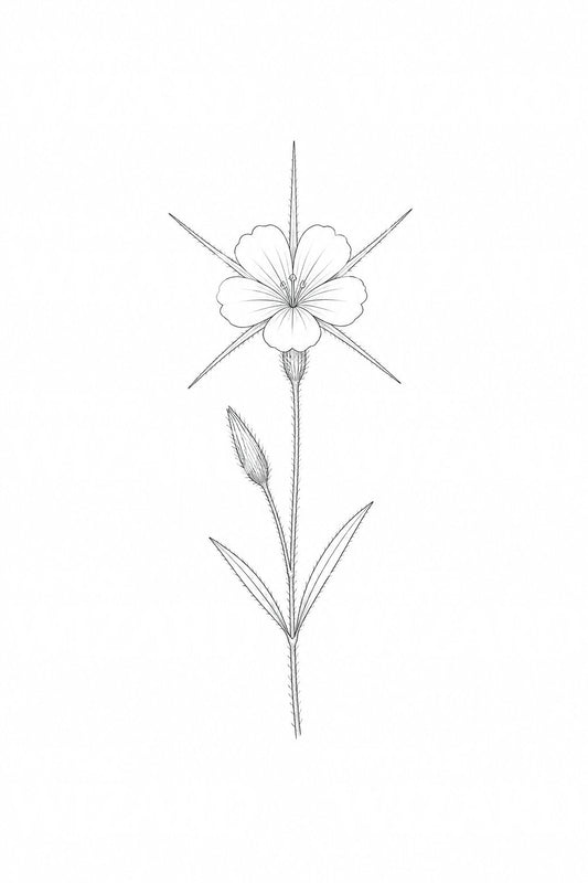 Disegno per tatuaggio di stelo di agrostemma
