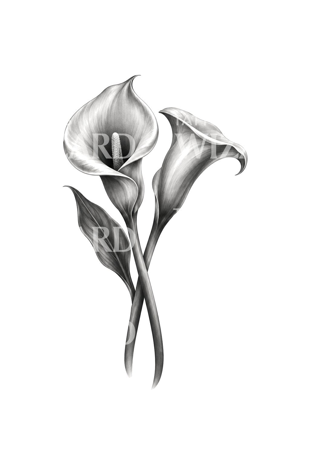 Crossed Calla Lilies Black and Grey Tattoo Design