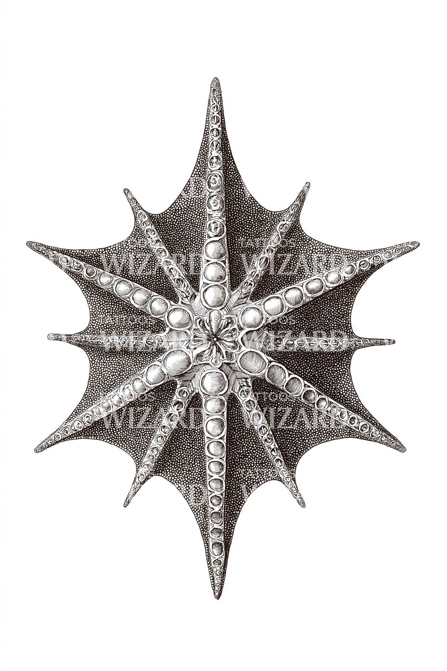 Dark Radiolarian Starburst Tattoo Design