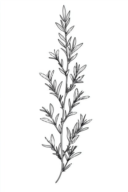 Delicate Botanical Sprig Tattoo Illustration