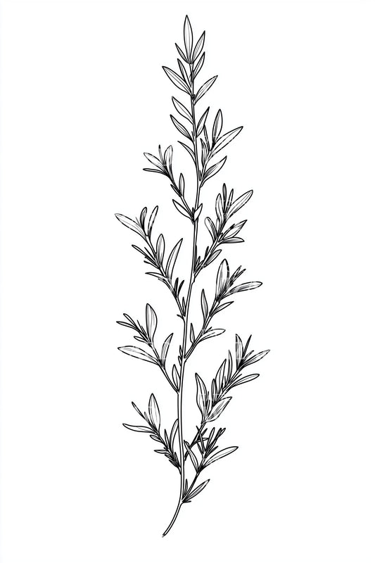 Delicate Botanical Sprig Tattoo Illustration