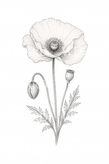 Delicate Poppy Fine Line Tattoo Design