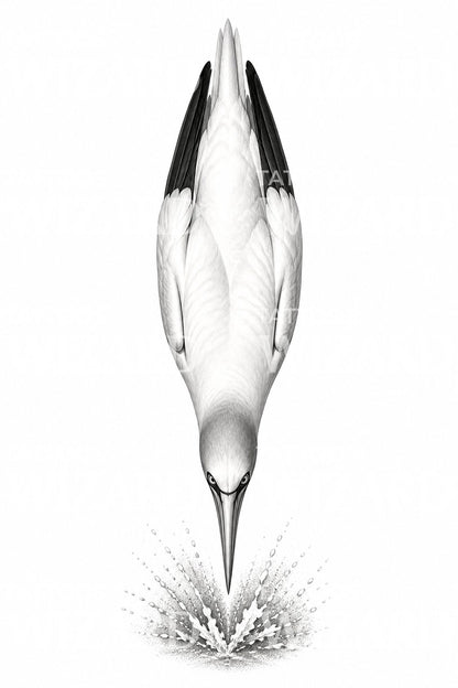Design de tatouage de fou de Bassan plongeant