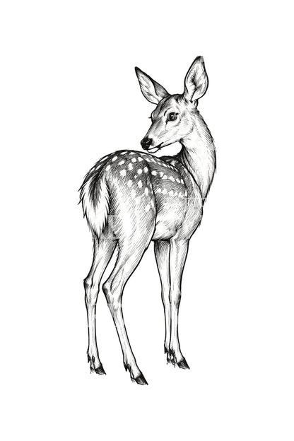 Doe Glancing Back Ink Sketch Tattoo Idea