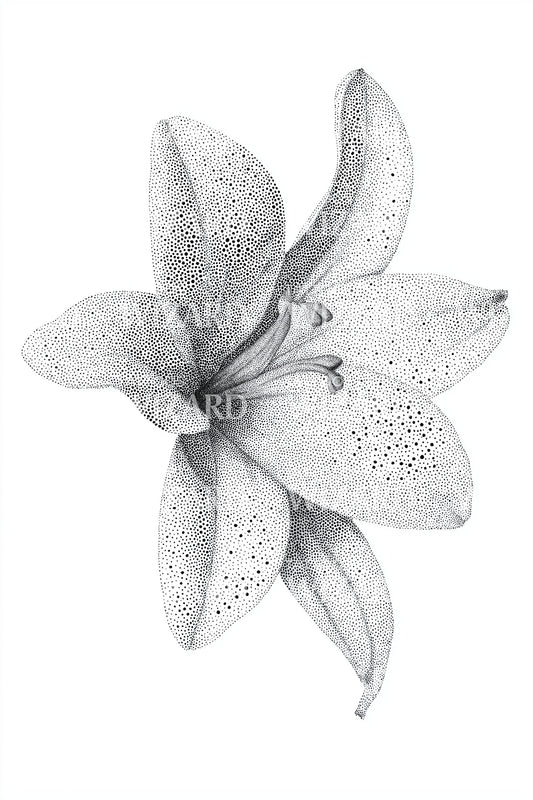 Dotwork Lily Blossom Tattoo Design