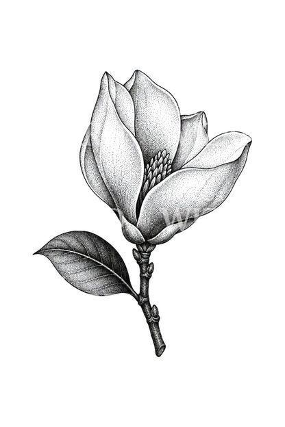 Dotwork-Tattoo mit Magnolienblüte