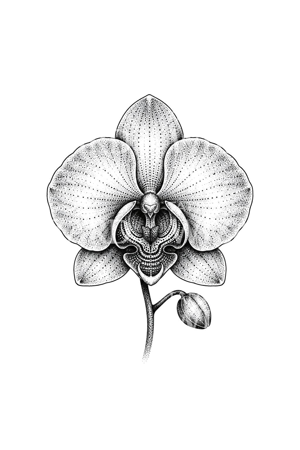 Dotwork orchidej ve středu terče, tetovací motiv