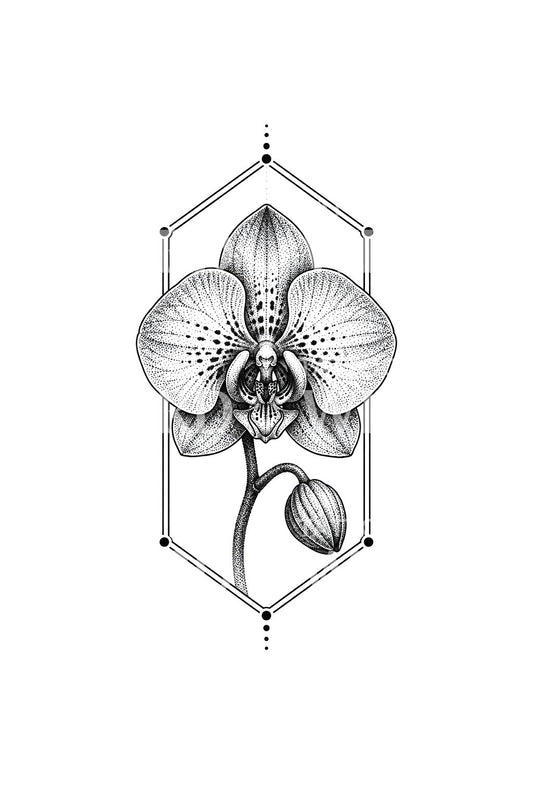 Dotwork-orkidea geometrisessa kehyksessä, tatuointidesign