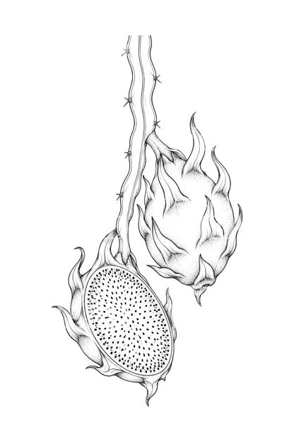 Diseño de tatuaje de pitahaya cortada y entera
