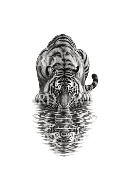 Törött tükörképből ivó tigris tetoválásillusztráció
