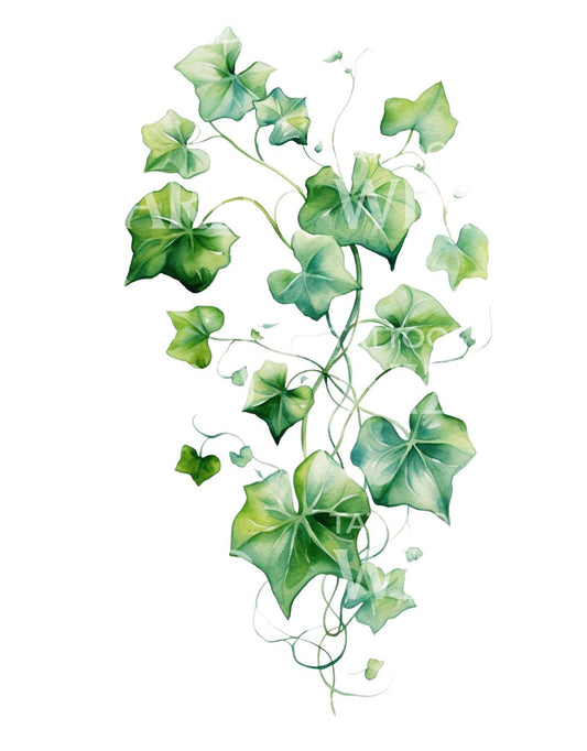 Watercolor Ivy Tattoo Design