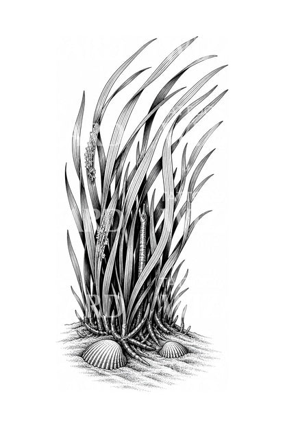 Eelgrass Meadow with Pipefish Tattoo Design
